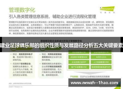 建业足球俱乐部的组织性质与发展路径分析五大关键要素