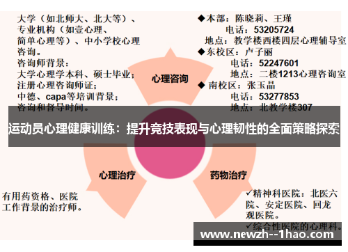 运动员心理健康训练：提升竞技表现与心理韧性的全面策略探索