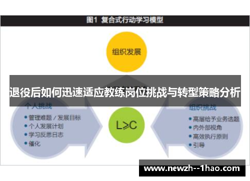 退役后如何迅速适应教练岗位挑战与转型策略分析