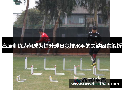 高原训练为何成为提升球员竞技水平的关键因素解析