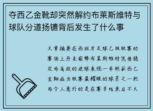 夺西乙金靴却突然解约布莱斯维特与球队分道扬镳背后发生了什么事